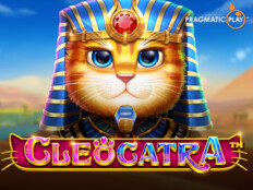 Bedava slot casino oyunları43